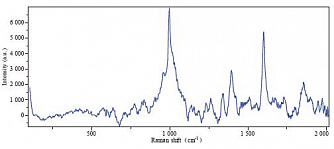 FI-FO - портативный рамановский спектрометр с волоконным зондом фото 3