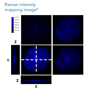 Xper-FLIM - система визуализации времени жизни флуоресценции фото 3