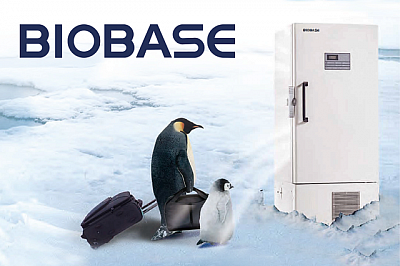 Лабораторные морозильные камеры от BIOBASE