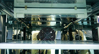 BJPX - CO₂ инкубаторы фото 3