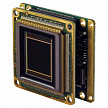 OEM-D2080-160-LC - OEM-модуль камеры