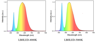 LBHLED - высокомощные светодиодные (LED) источники белого света фото 2