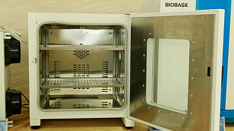 BJPX-HBK - сенсорные инкубаторы постоянной температуры  фото 1