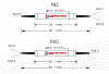 PBC/PBS-30 - делитель/объединитель поляризации излучения, 1030 нм фото 2