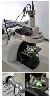 Micro PIV - система измерения поля скоростей в микроскопических плоских объектах фото 1
