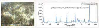 Finder Insight - портативный рамановский микроспектрометр фото 2