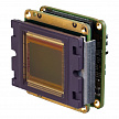OEM-D4096-960-LC - OEM-модуль камеры